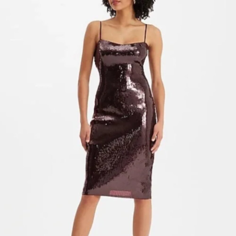 Express Burgundy Sequin Dress